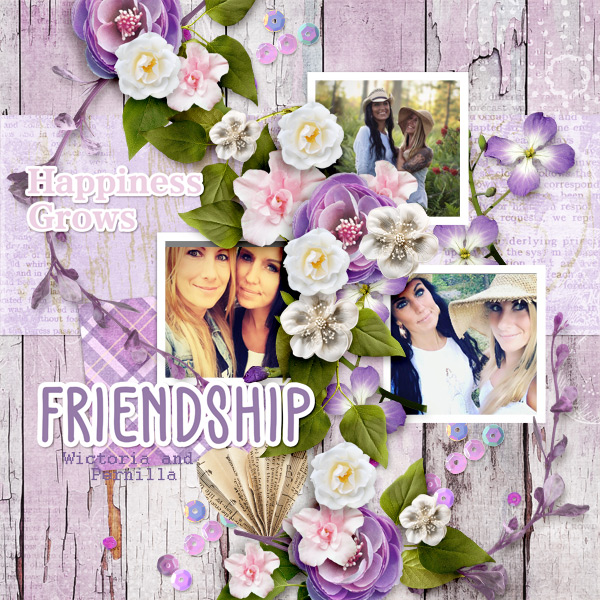 Friendship30