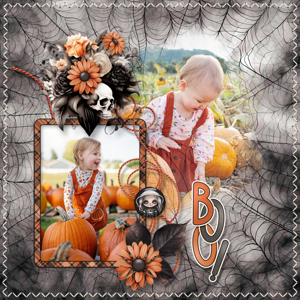 Fright Nigth Fun