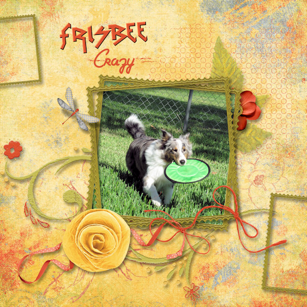 Frisbee Crazy