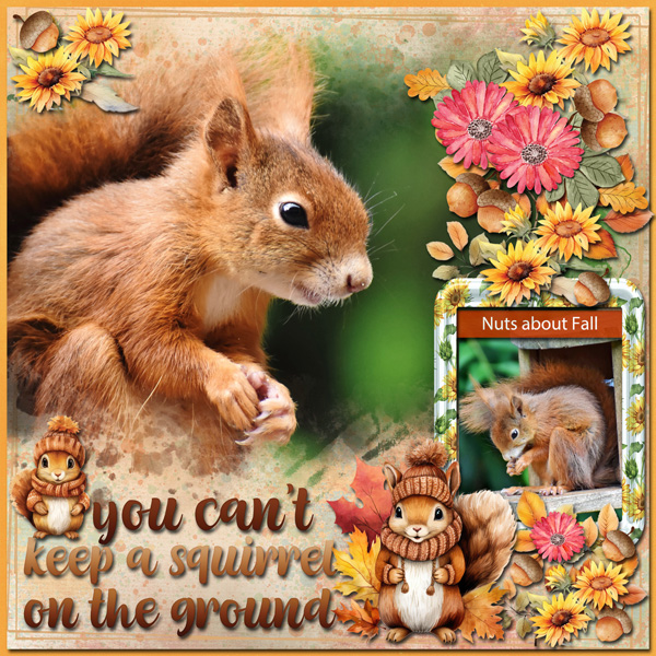 Frisky Squirrels