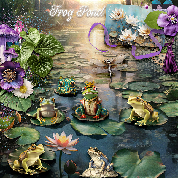 Frog pond