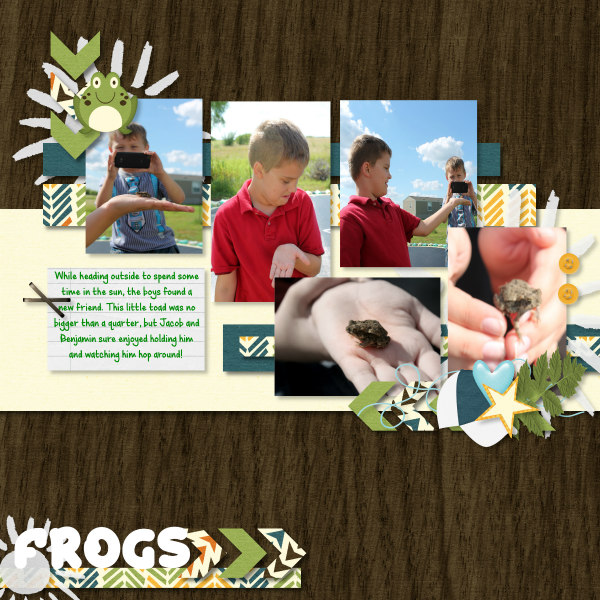 Frog6-15