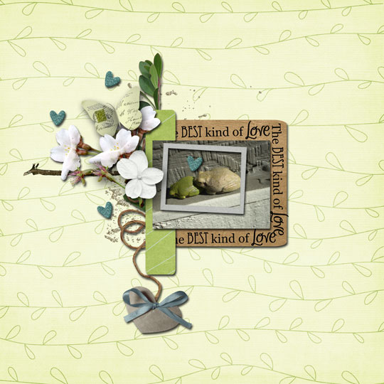 Froggy Love