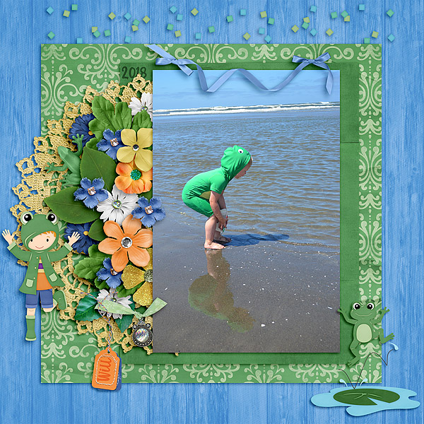 Froggy on the shore