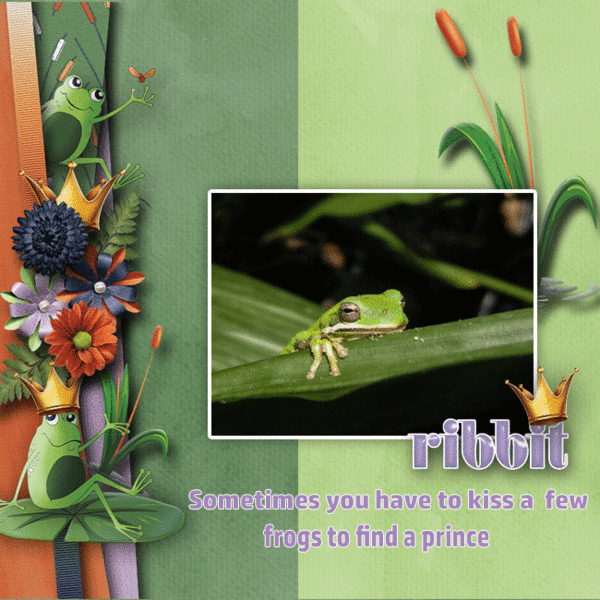 Froggy