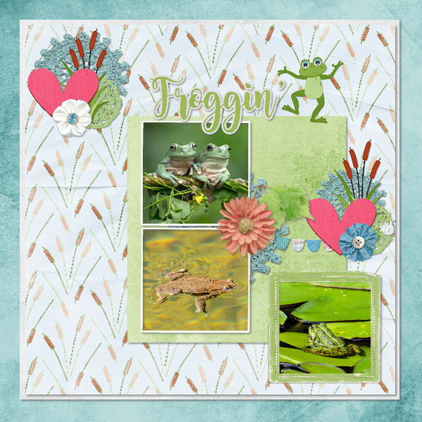 frogs4