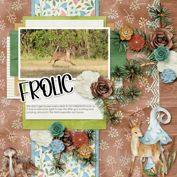Frolic