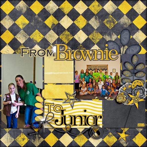 From Brownie to Junior