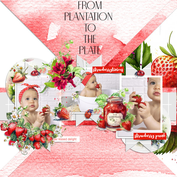 From Plantation To The Plate