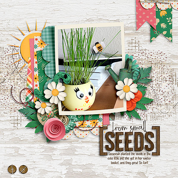 From Small Seeds