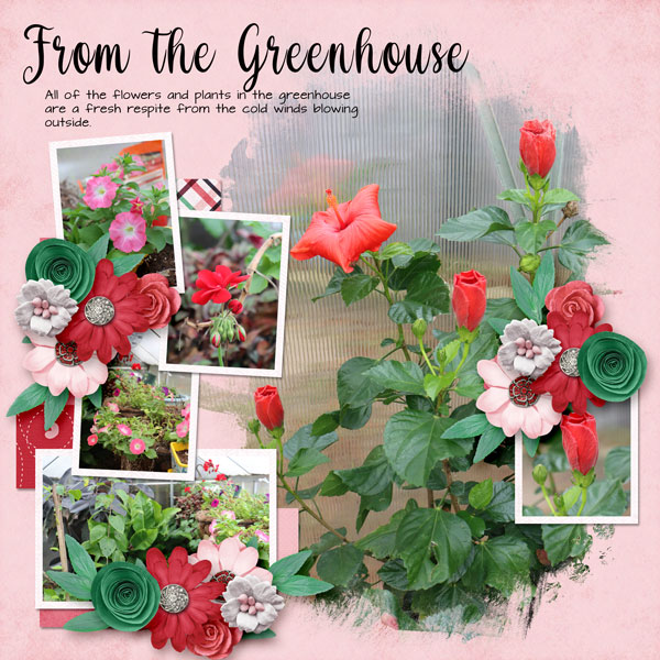 From the Greenhouse