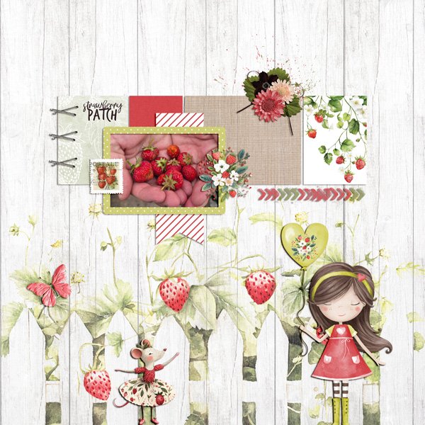 from the strawberry patch