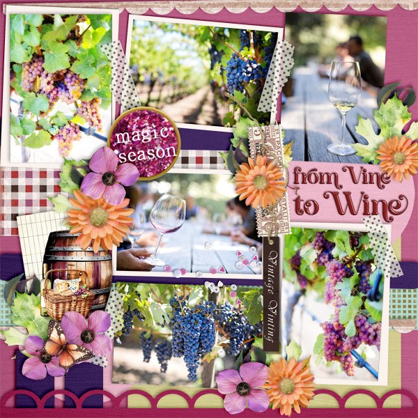 From Vine to Wine