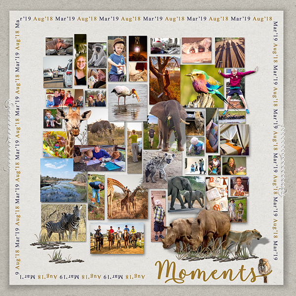Front Cover for travel Album