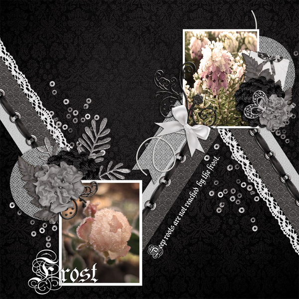 Frost
