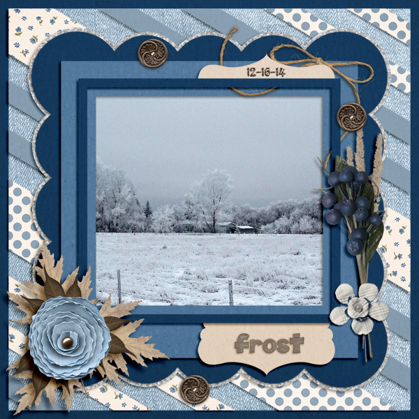 Frost