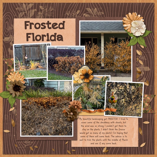 Frosted Florida
