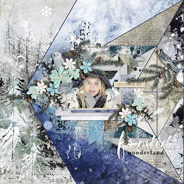 frosted wonderland