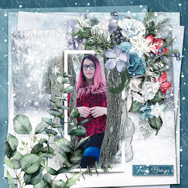 Frosty Breeze