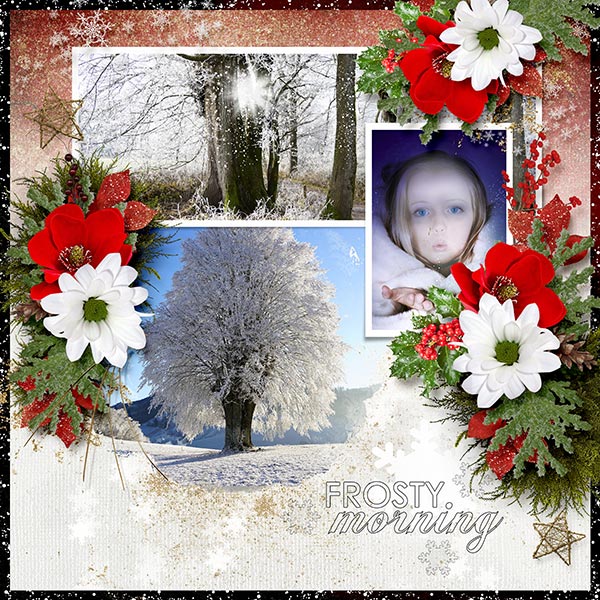 Frosty Day