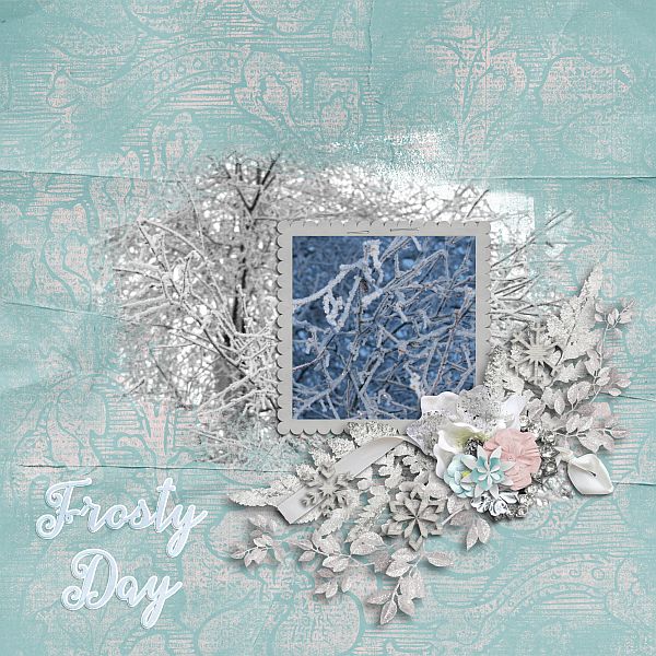 Frosty Day