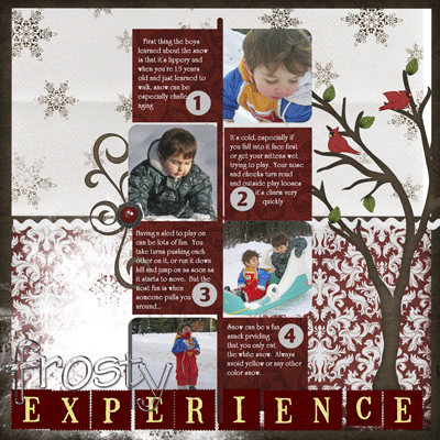 Frosty Experiences
