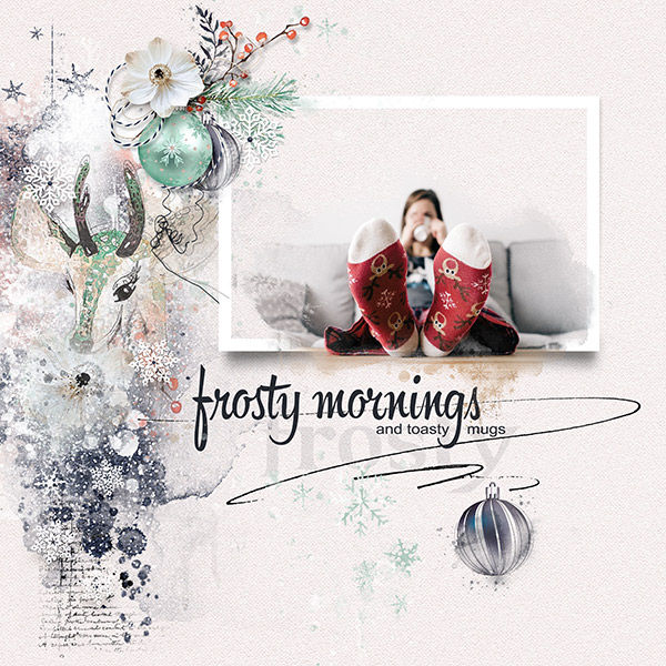 Frosty Morning