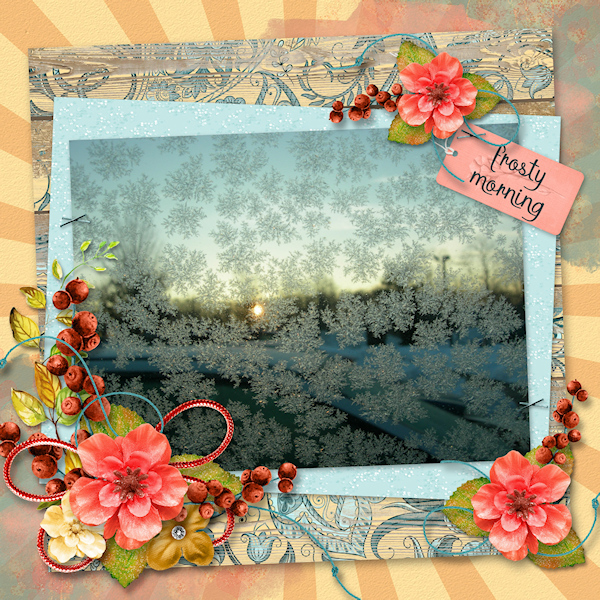 Frosty Morning