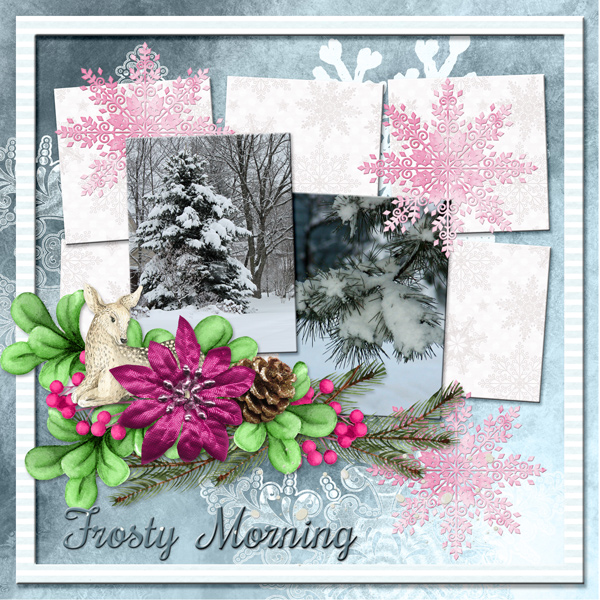 Frosty Morning