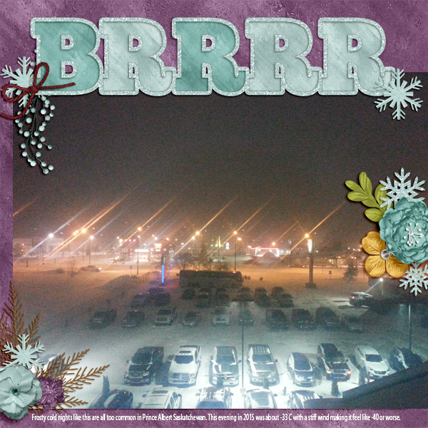 Frosty Night