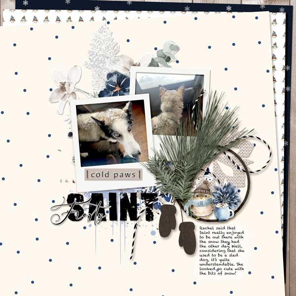Frosty Saint