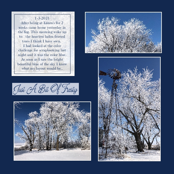 Frosty Trees