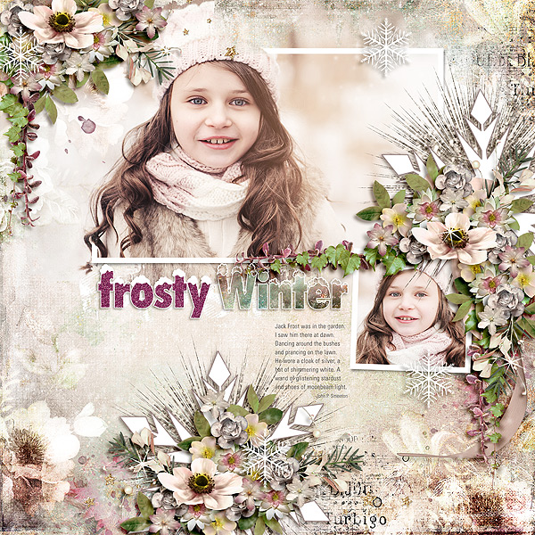 Frosty Winter
