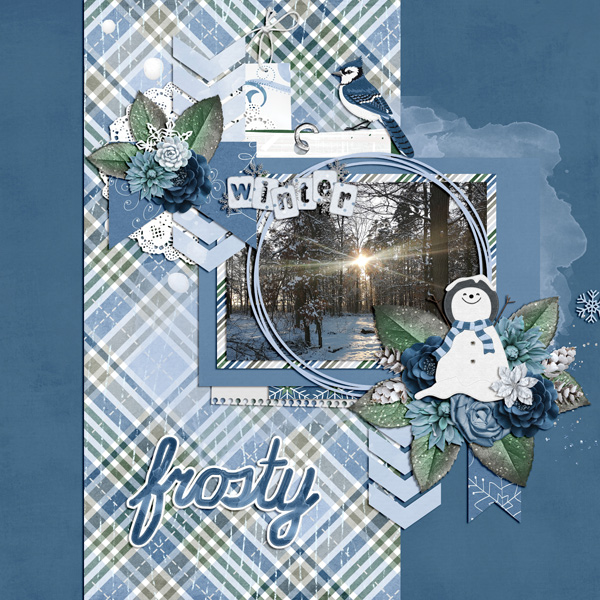 frosty winter