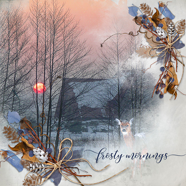 Frosty