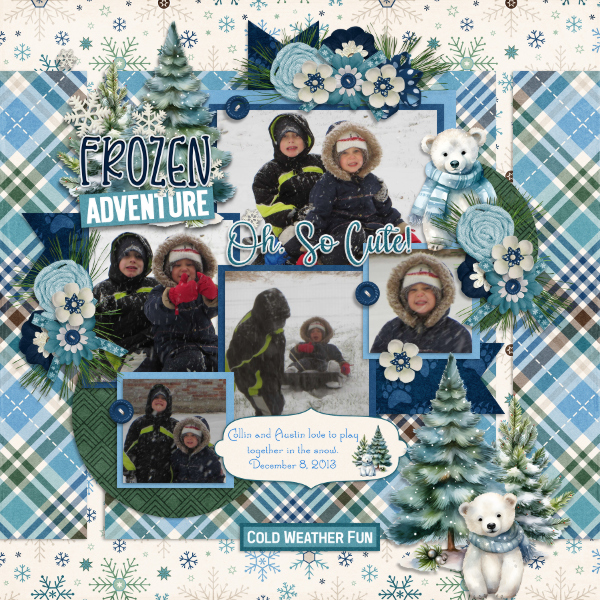 Frozen Adventure
