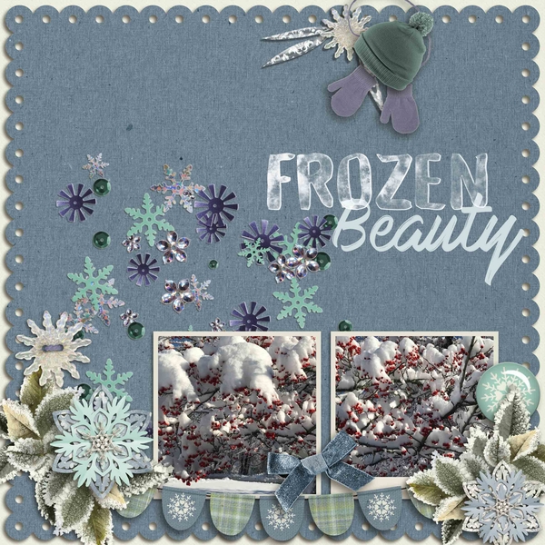 Frozen Beauty