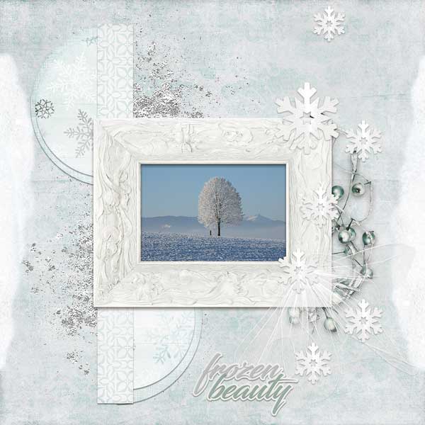 Frozen Beauty