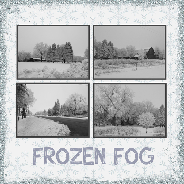 Frozen Fog