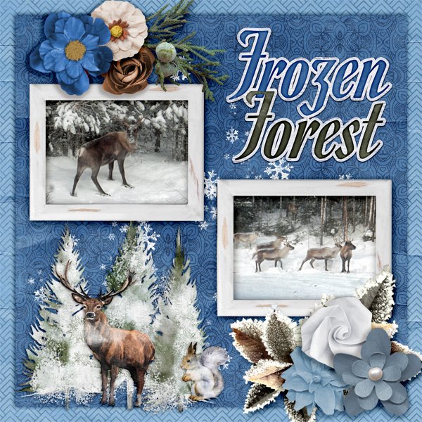 Frozen-forest.jpg