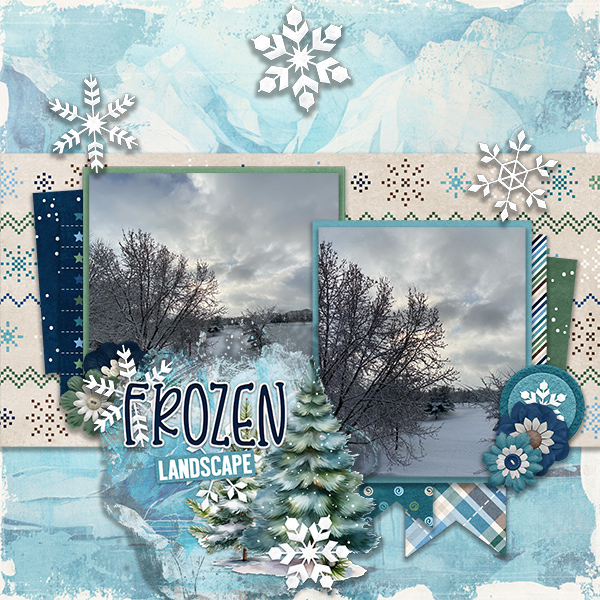 Frozen Landscape