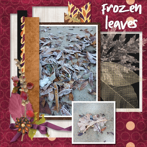 Frozen leaves