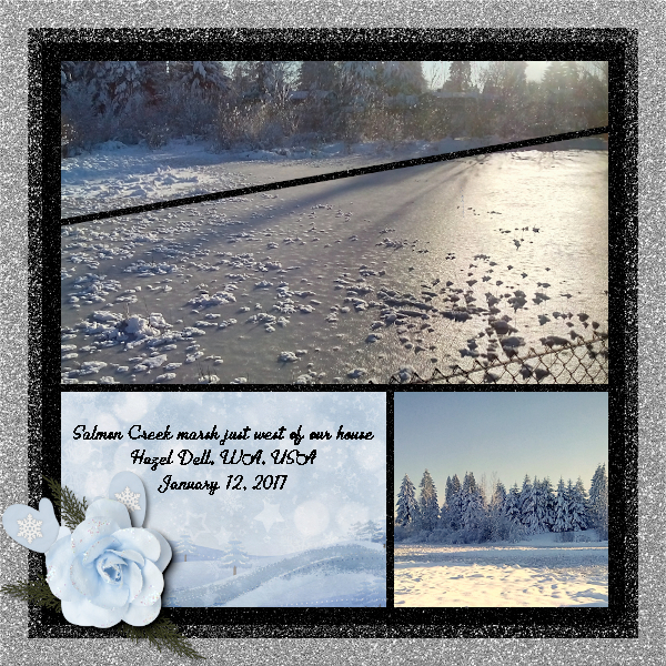 Frozen Marsh in January 2017