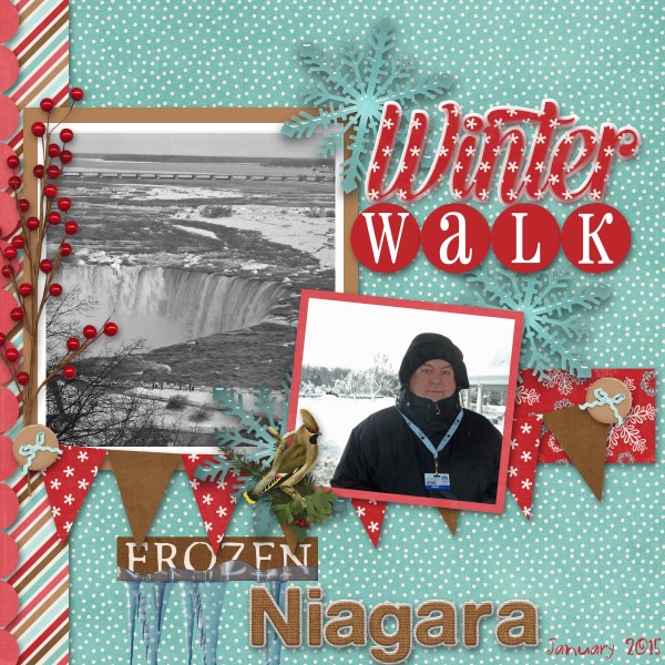 Frozen Niagara