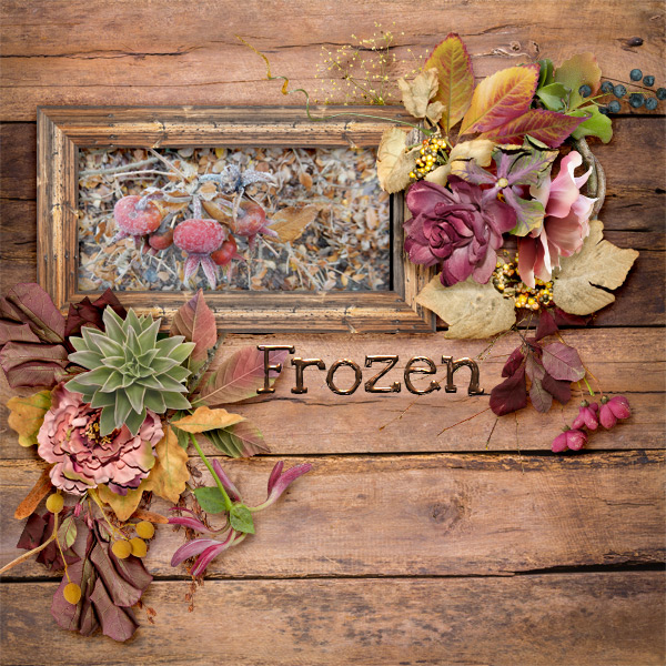 Frozen12