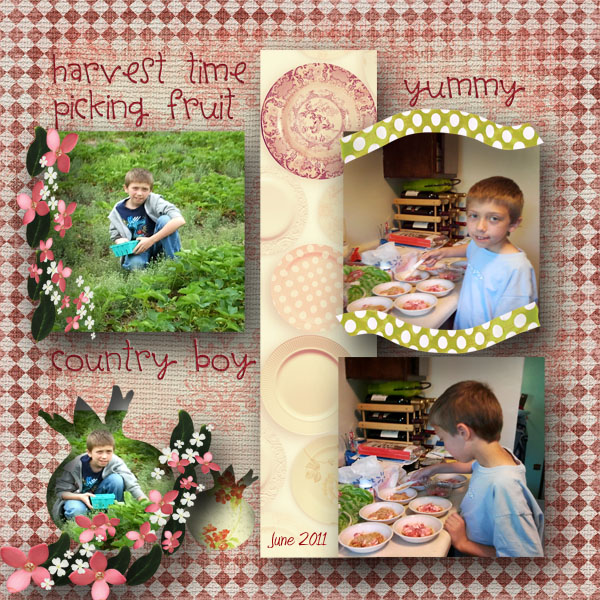 Fruit Picking