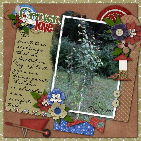 Fruit Tree