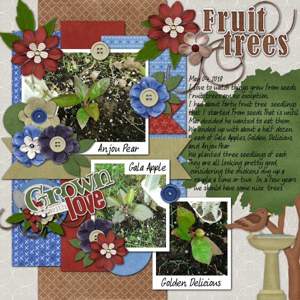 Fruit Trees