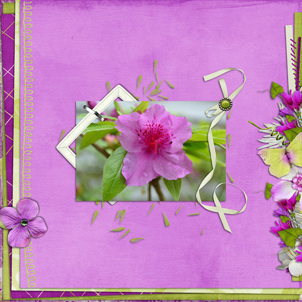 Fuchsia Lime