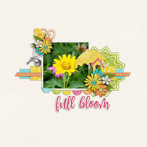 Full Bloom